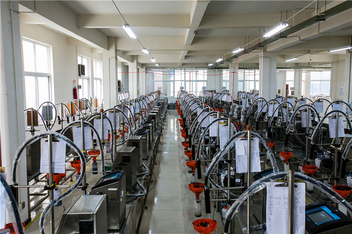 Wuhan Leadjet Science and Technology Development Co.,Ltd factory production line